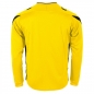 Preview: Stanno Drive Match Trikot Langarm